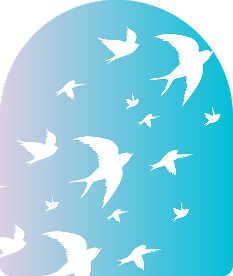 bird-image